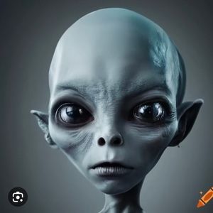 Meet your Posher, Kiki